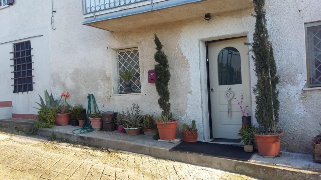 B&B Santa Maria Santa Maria a Monte Bagian luar foto